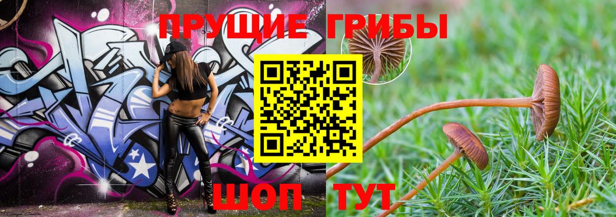 Псилоцибиновые грибы MAGIC MUSHROOMS Дивногорск