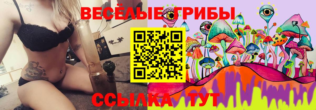 Дивногорск  Галлюциногенные грибы Magic Shrooms  Вход с VPN 